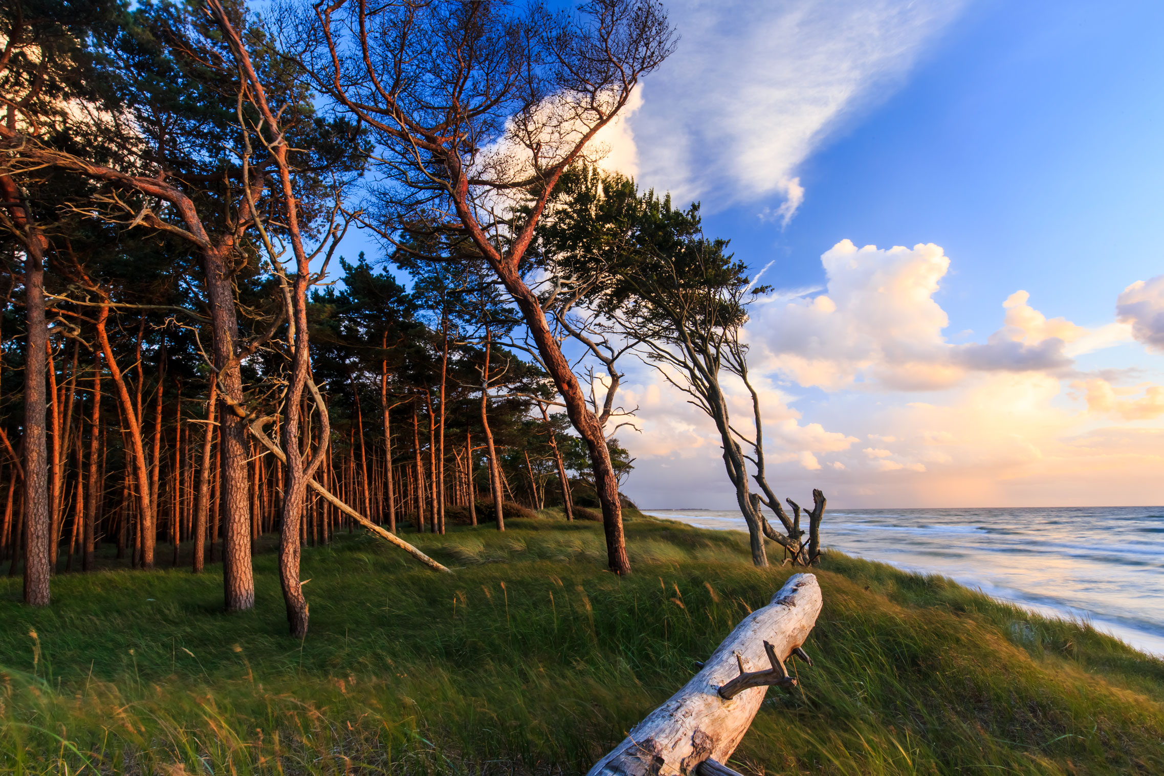 Darsser Weststrand bei Sturm